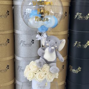 Welcome Baby Boy Gift Set